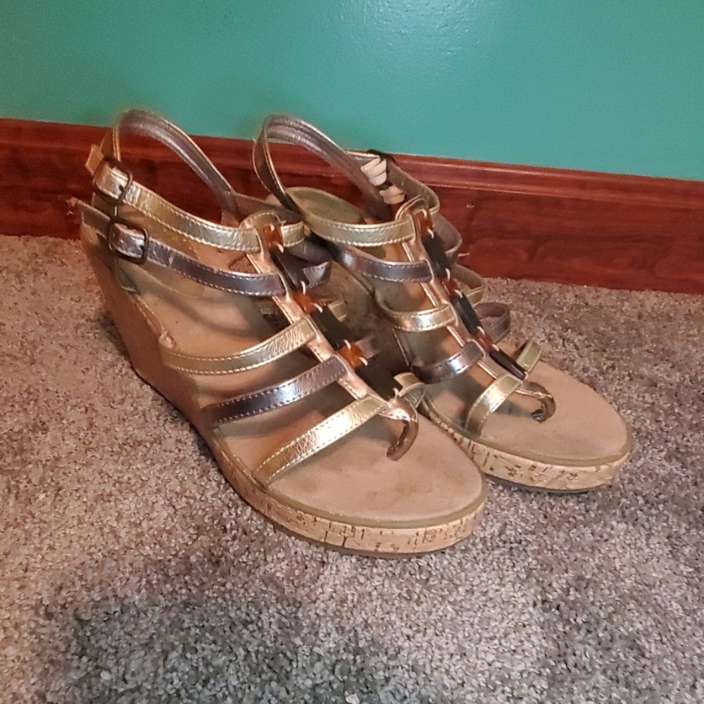 Wedge scandals